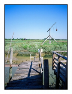 Mornac sur Seudre - 100216280007