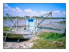 Mornac sur Seudre - 100216250002