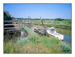 Mornac sur Seudre - 100216250015