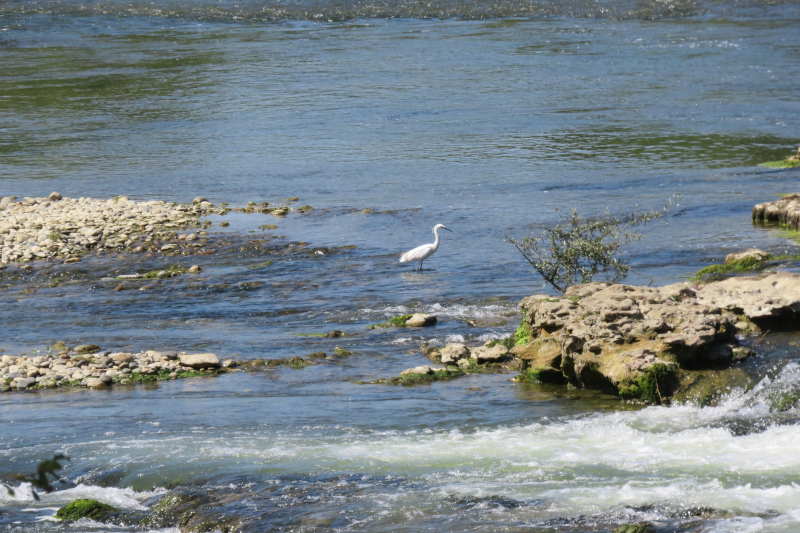 garonne-aout