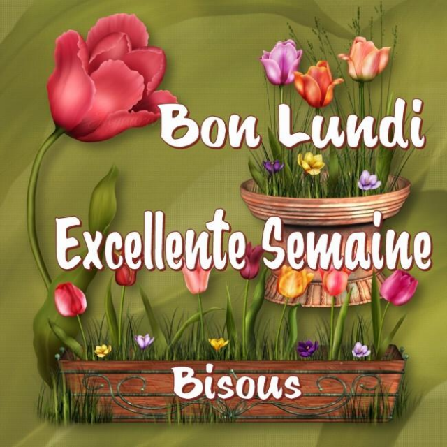 bonjours et bonsoirs de mars  - Page 3 21090704025323641617558448