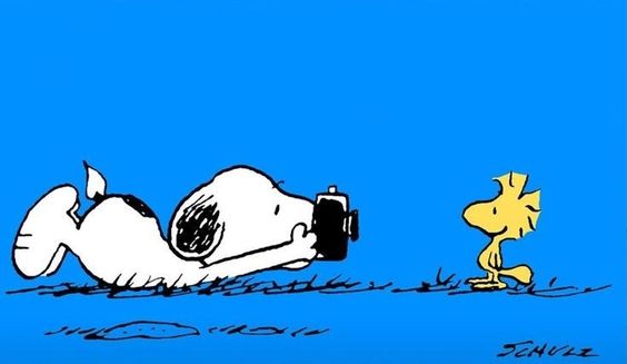Snoopy Photographe14