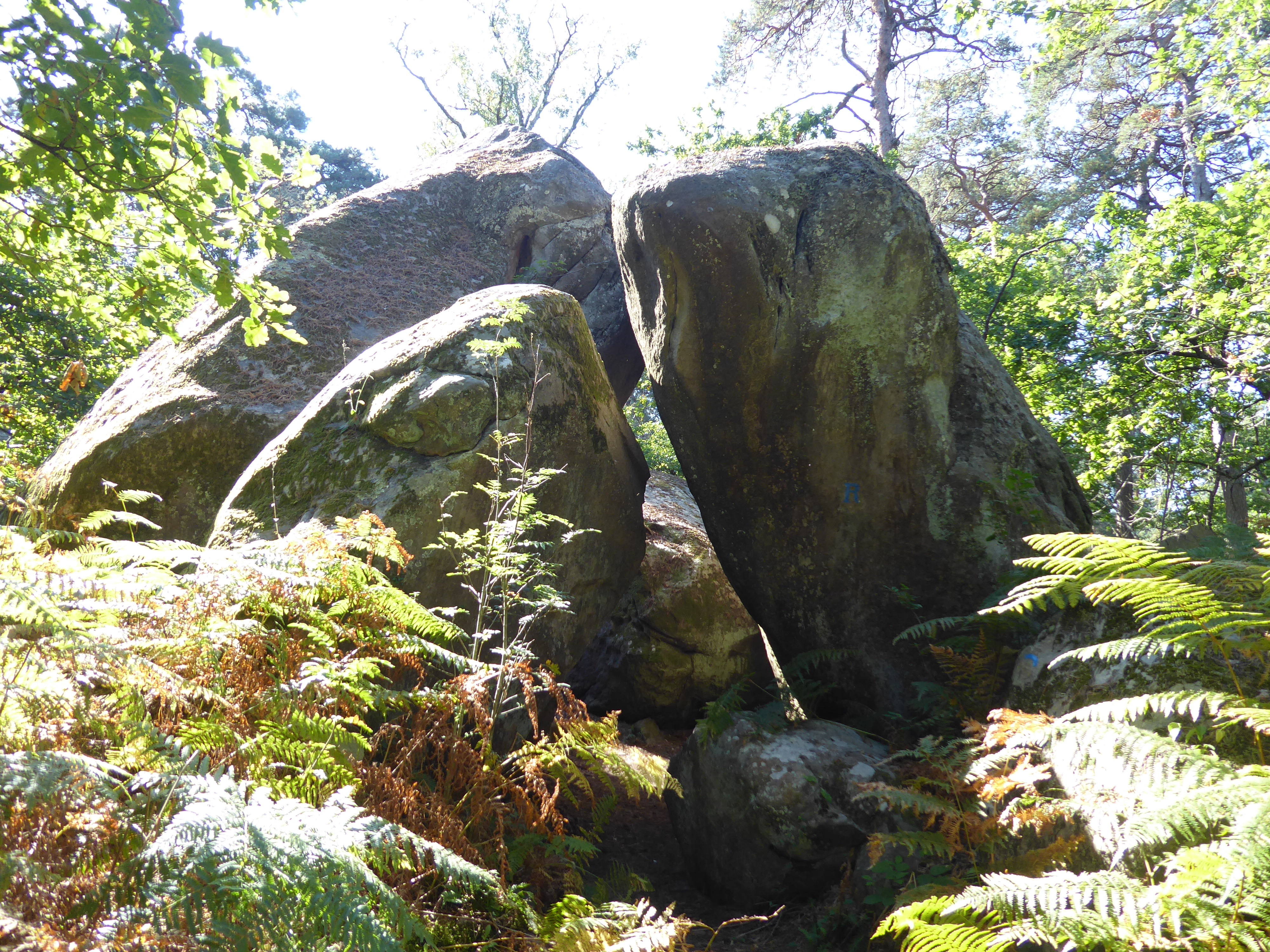 for&ecirc;t de Fontainebleau, Denecourt n&deg;10