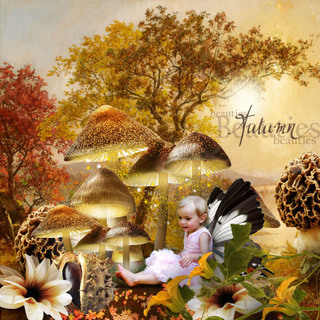 AUTUMN ARRIVES IN ENCHANTED LAND - jeudi 30 septembre / thusrday september 30th 21093008590419599817593869