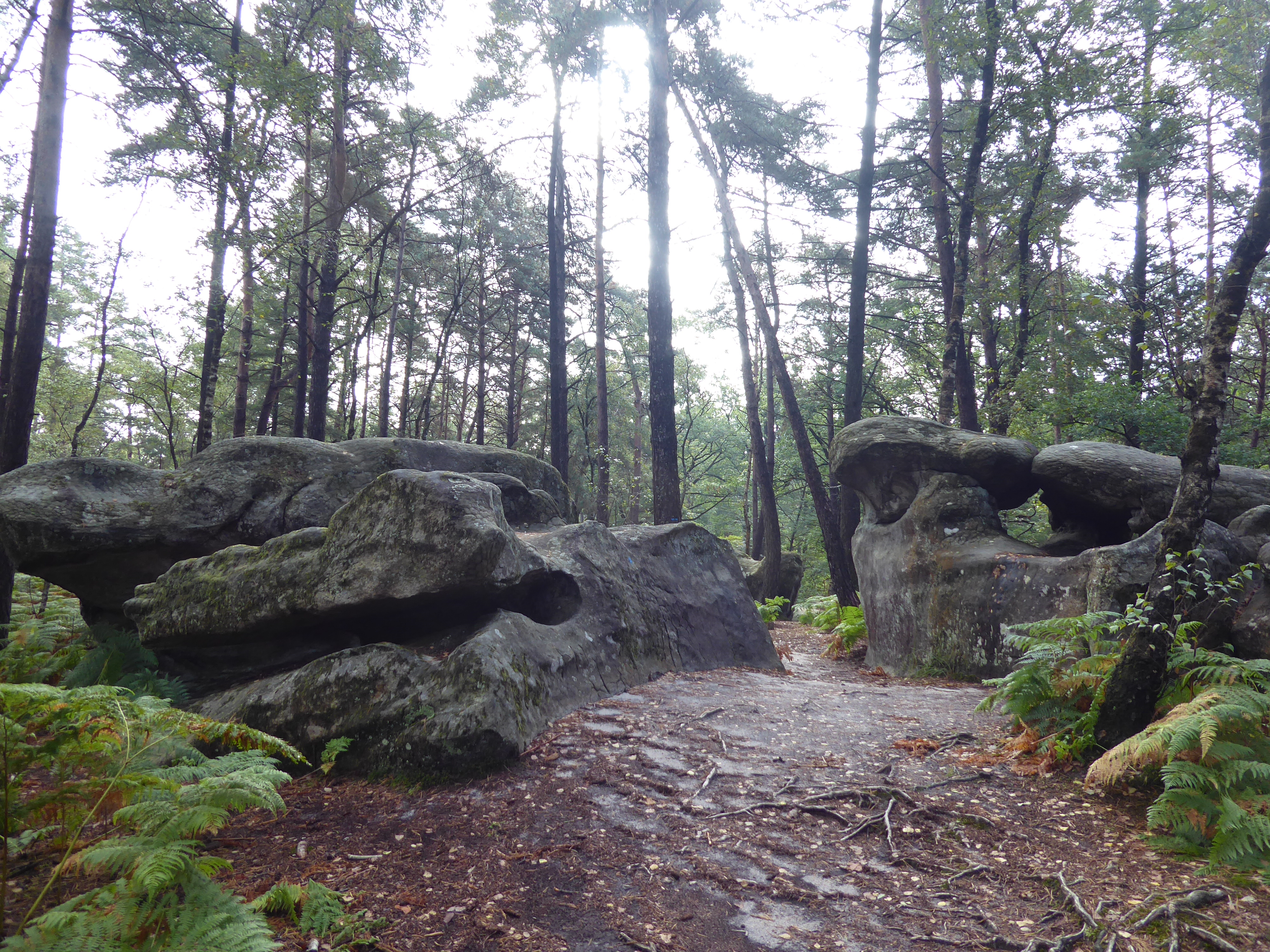 Point de vue Haut Mont par le Denecourt 17 - For&ecirc;t de Fontainebleau