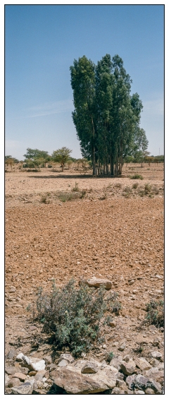 Ethiopie Couleur - 0019_34A