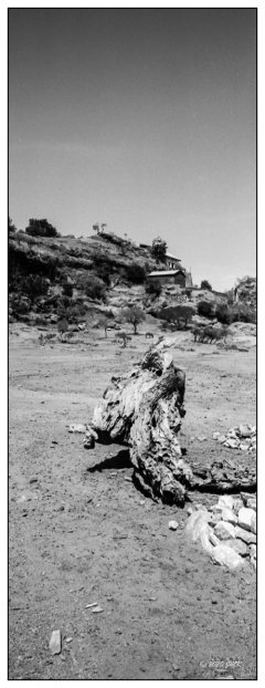 Ethiopie N&B - 2019-11-23__img_079