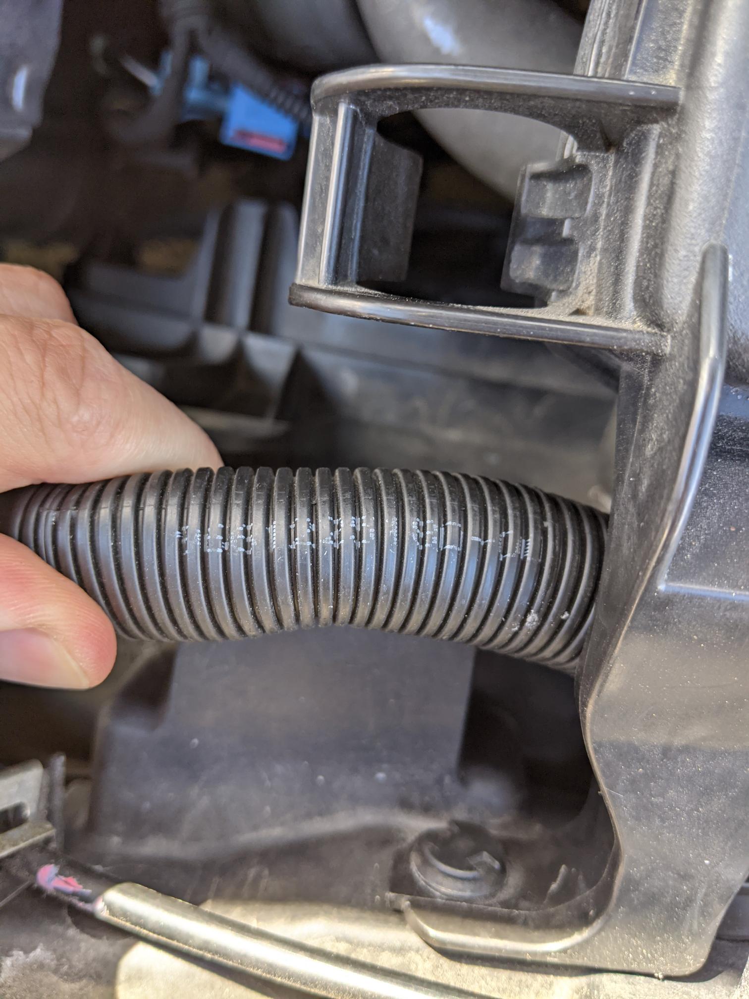 PXL_20211102_111240851.MP