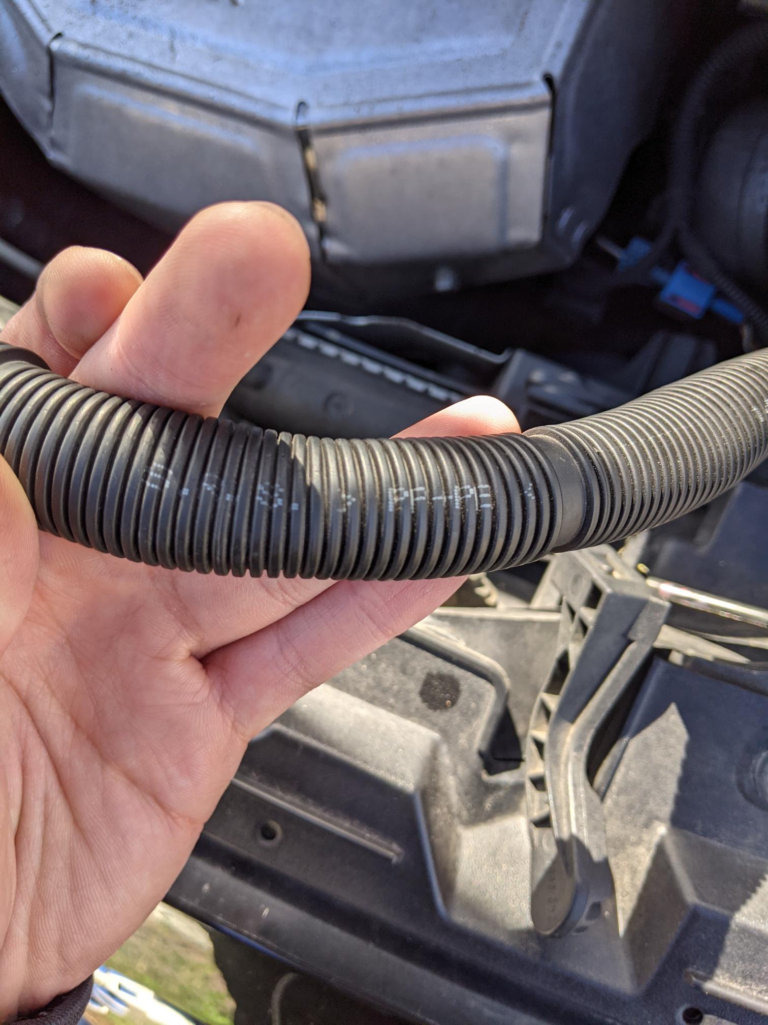 PXL_20211102_111231556