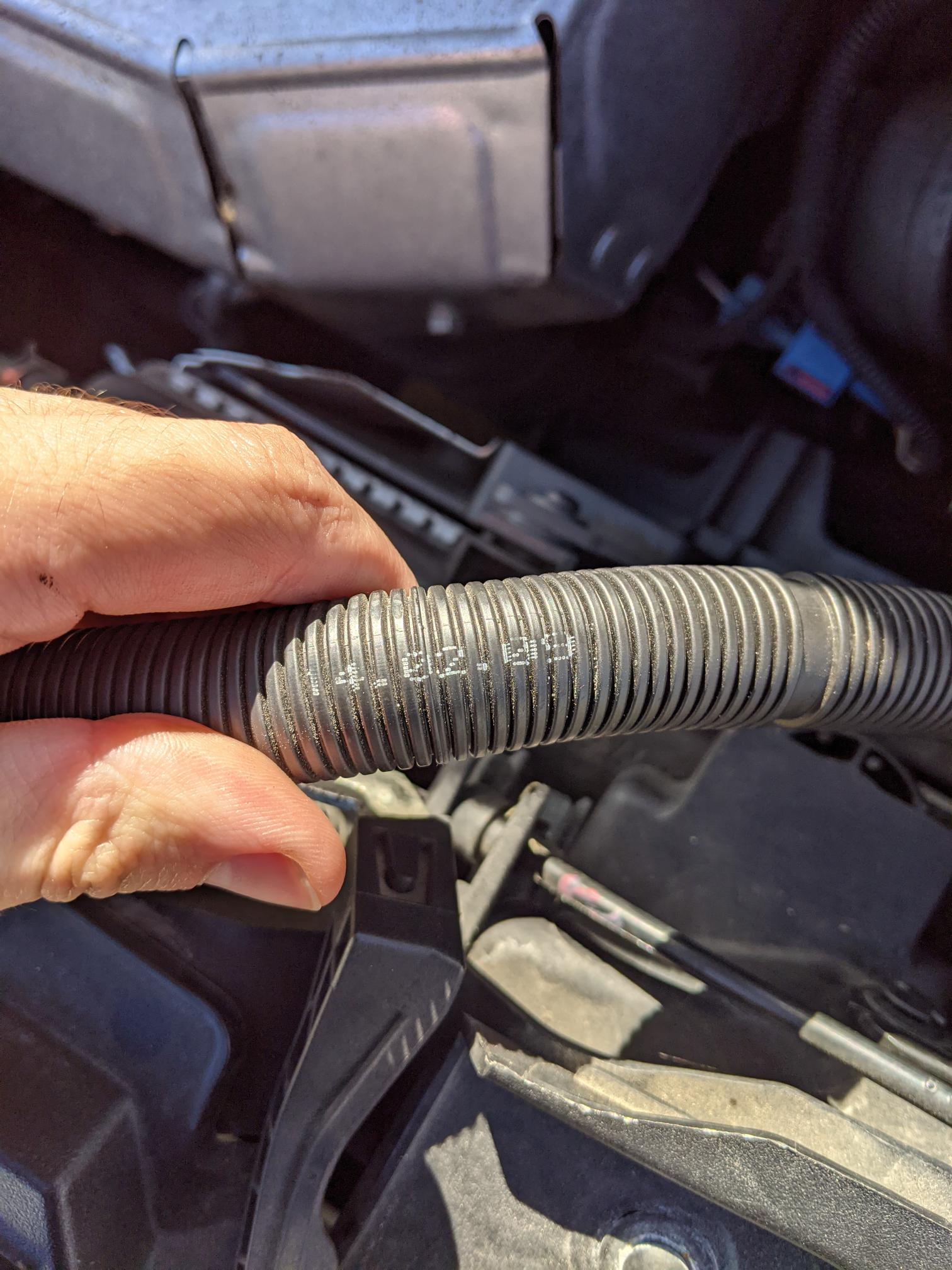 PXL_20211102_111236020