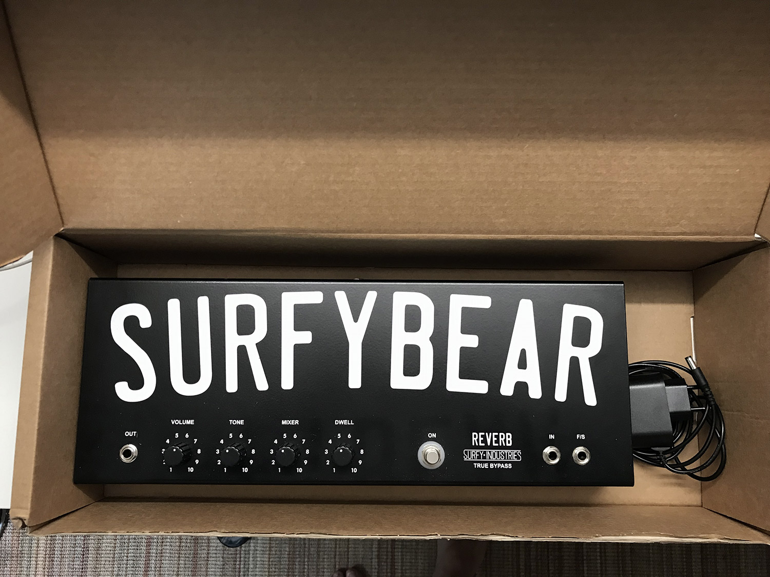 surfybear_01