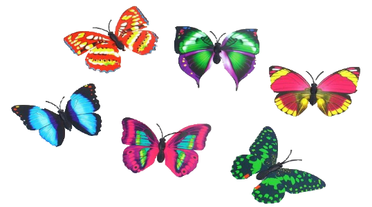 papillon-lumineux-murale