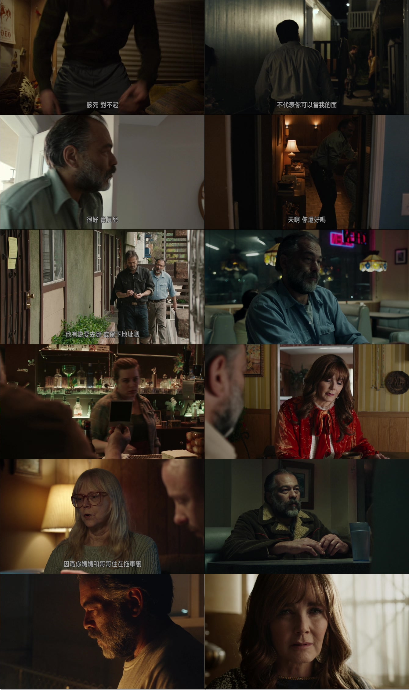 The.Cleaner.2021.BluRay.1080p.DTS-HD.MA.2.0.x264-CHD.mkv