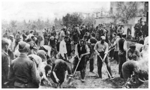 UKRAINE MUTYMb-les-juifs-creusent-leur-propre-tombe