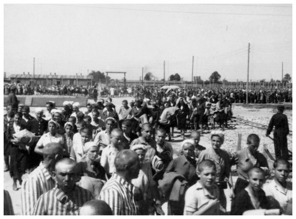 POLOGNE 1vAZMb-prisonniers-auschwitz-II-birkenau