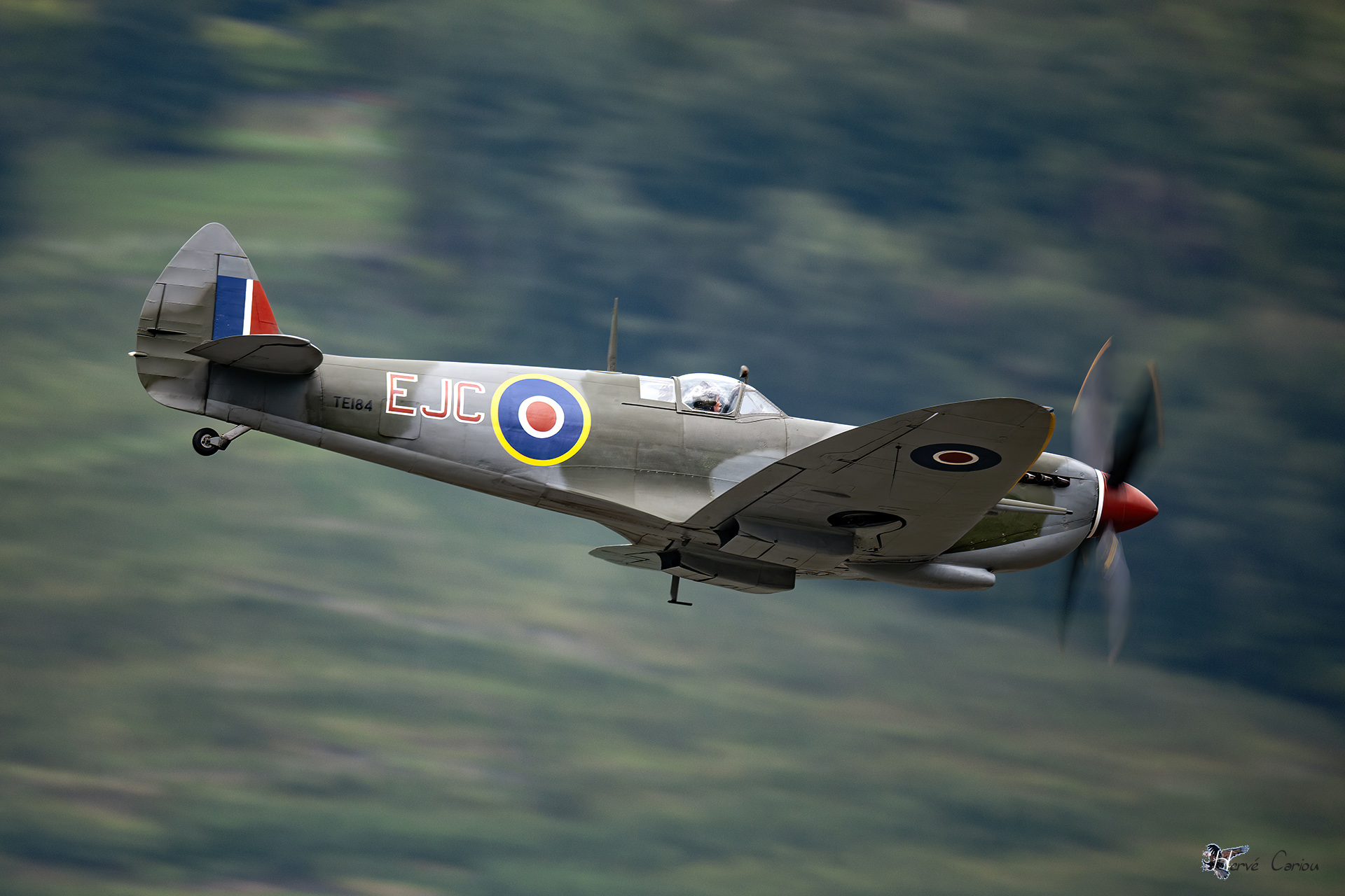 Spitfire TE184_D3C39858