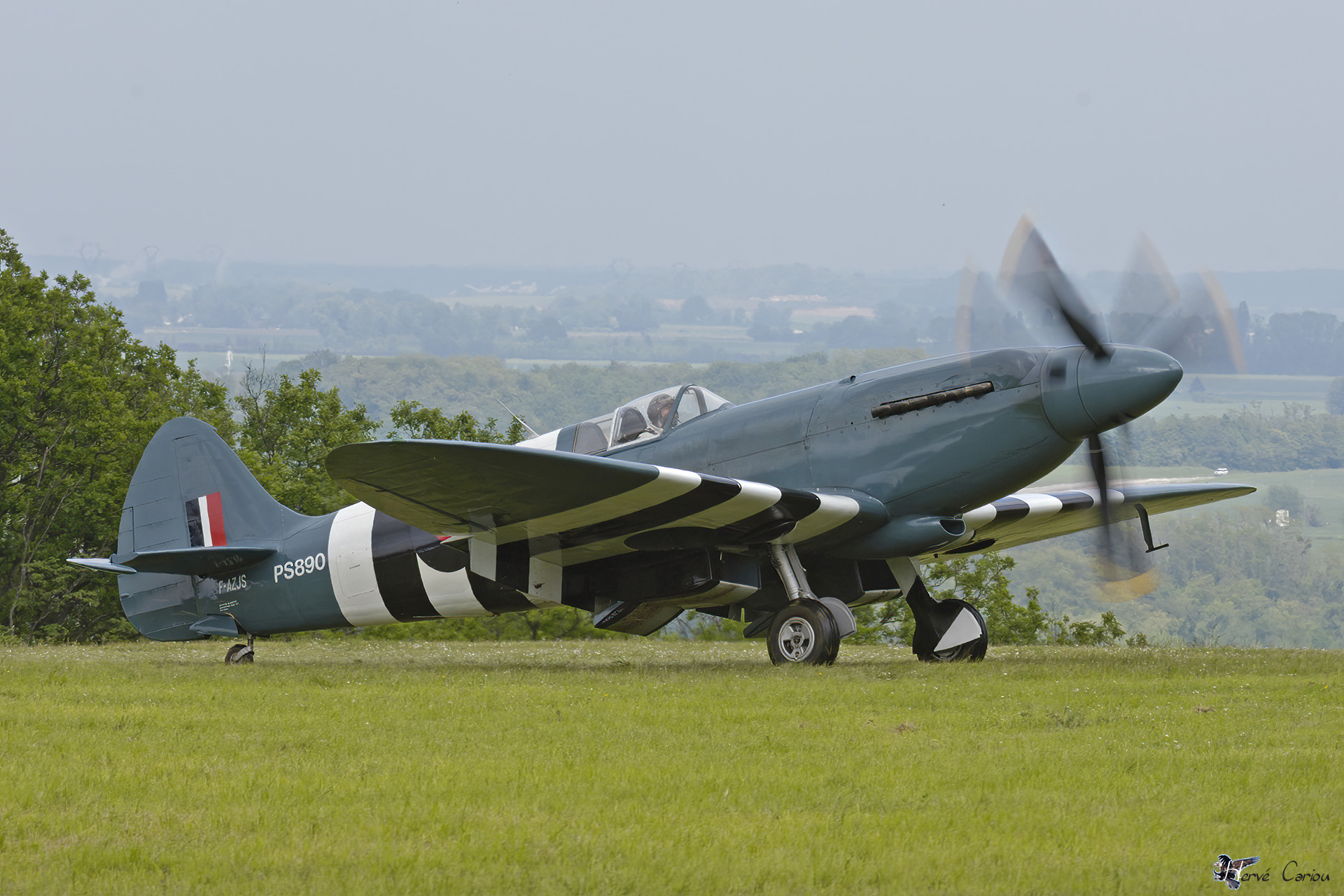 Spitfire PR19_DSC2184