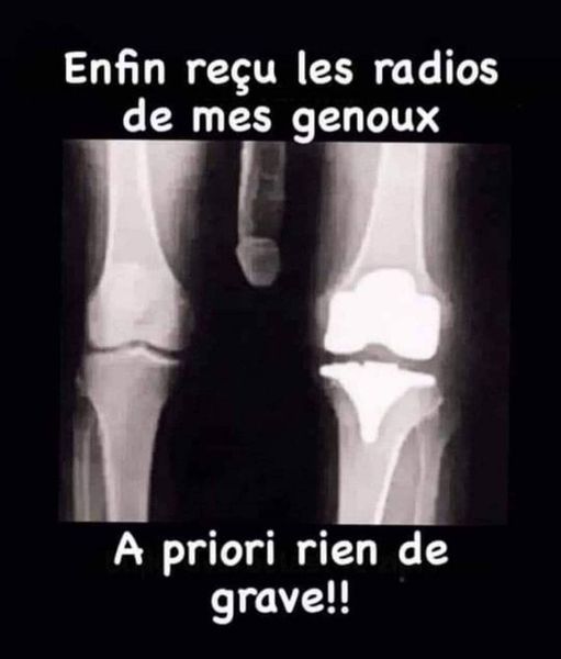 245476317GENOUX1499_n