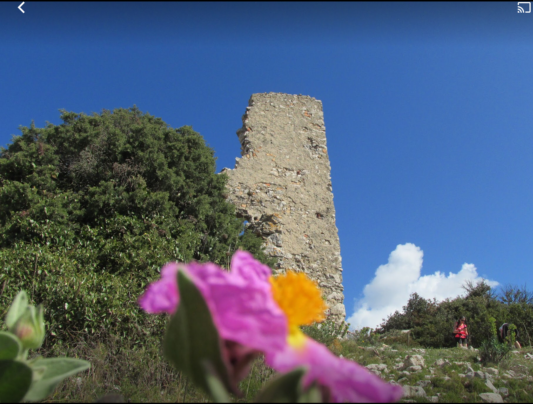 Sommet de Marseilleveyre