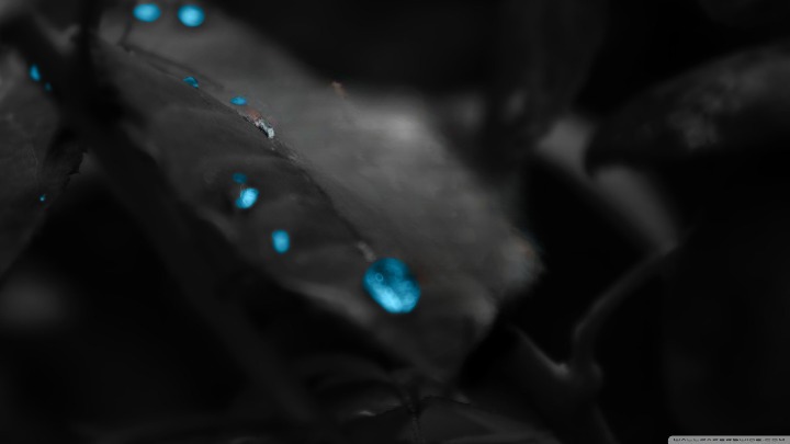 blue_water_drops-wallpaper-2560x1440_cleanup