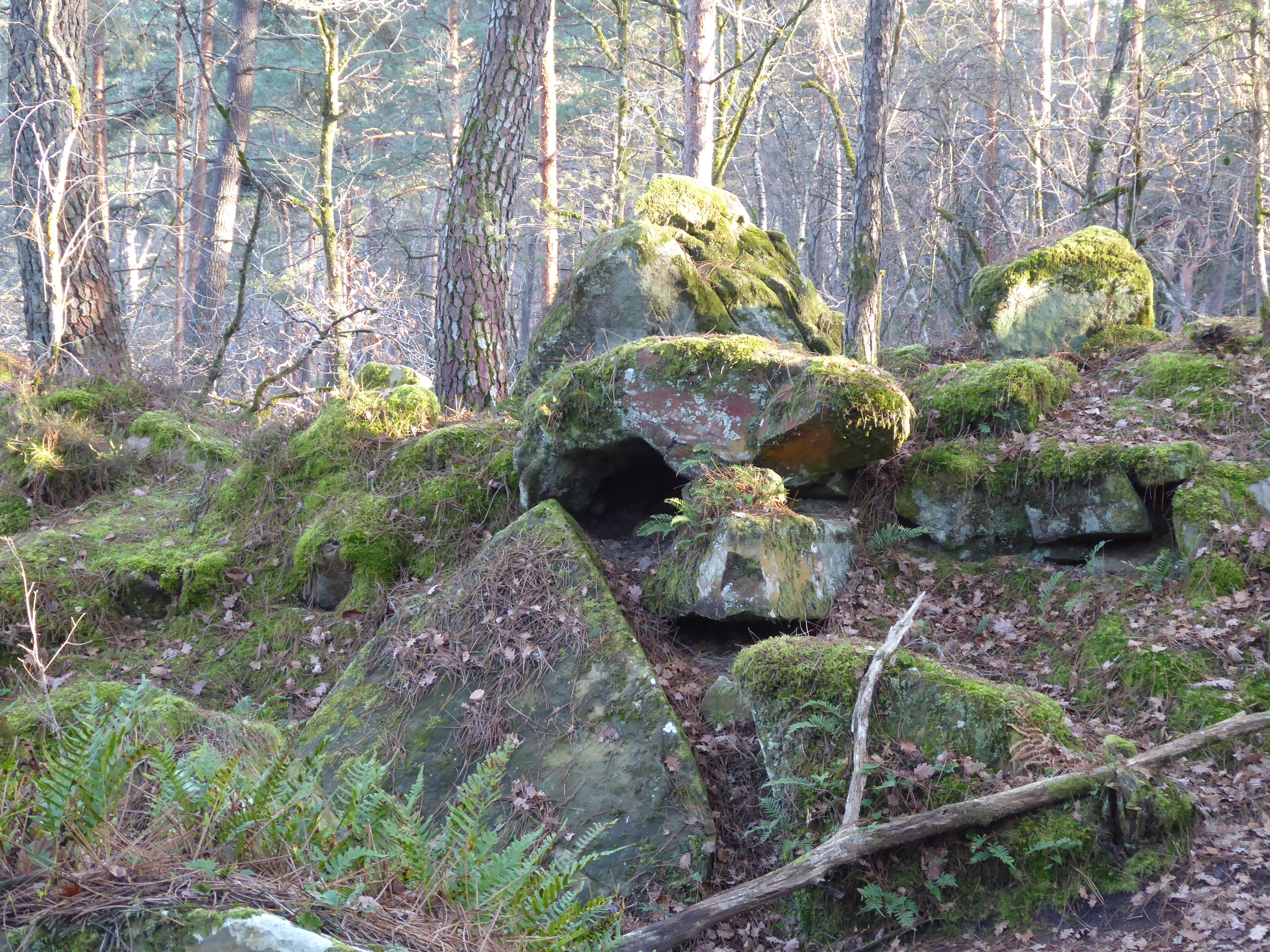 rando en for&ecirc;t de Fontainebleau, grotte B&eacute;atrix, parcours n&deg;2