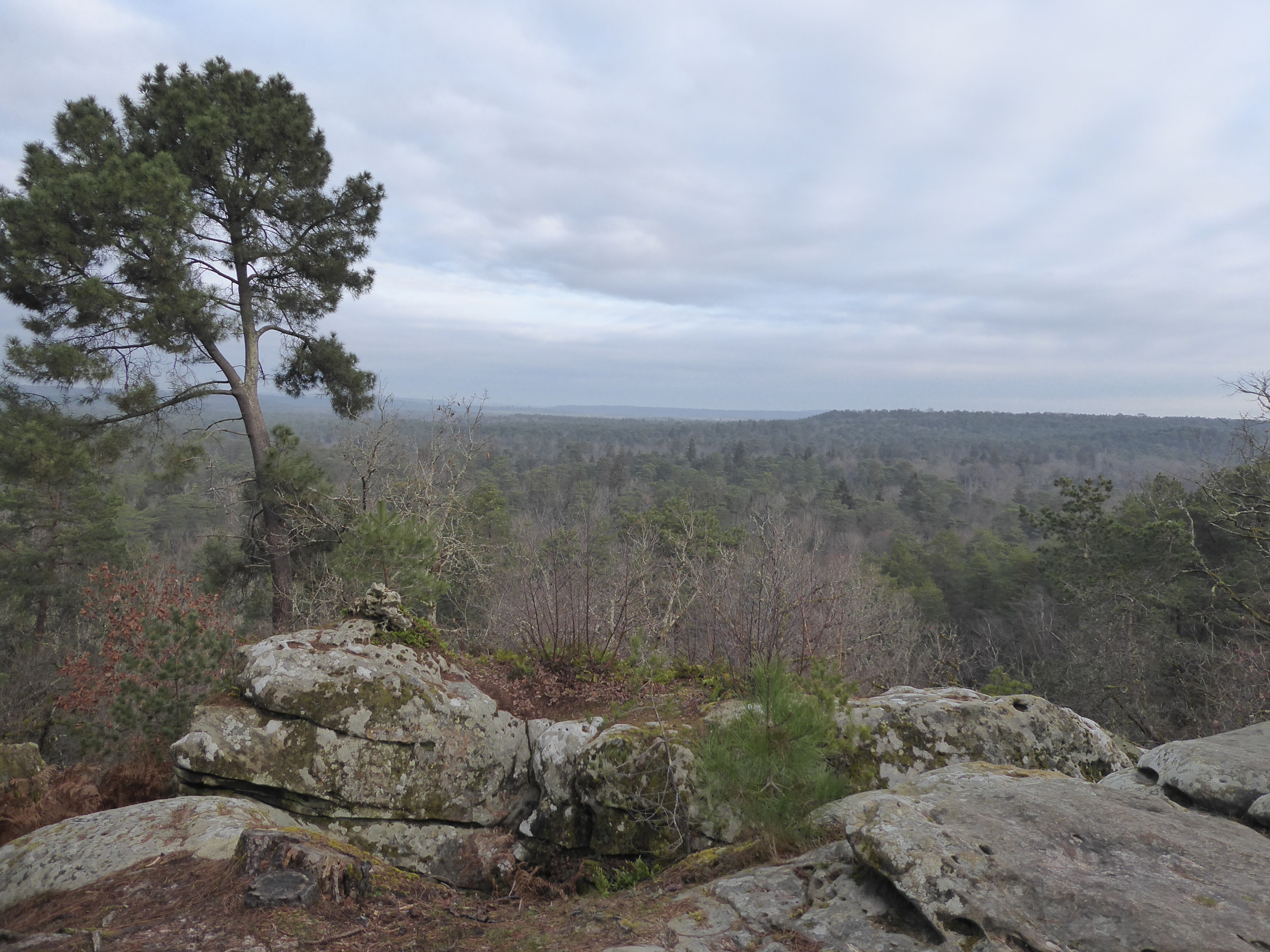 rando en for&ecirc;t de Fontainebleau, grotte B&eacute;atrix, parcours n&deg;2