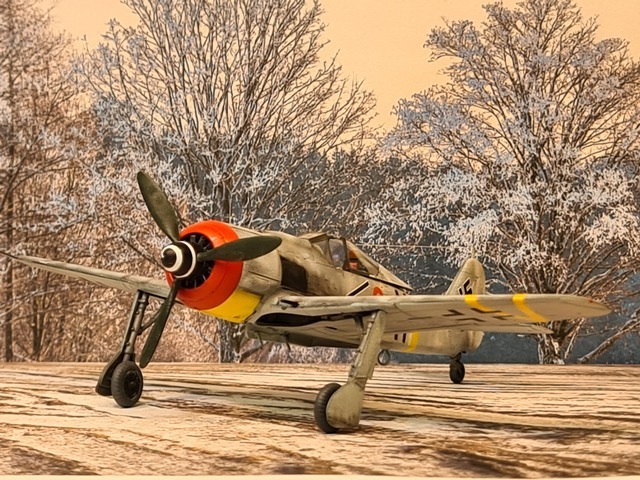 FOCKE WULF 190 F.8  Hongrie 1944 2201200556335625617757820