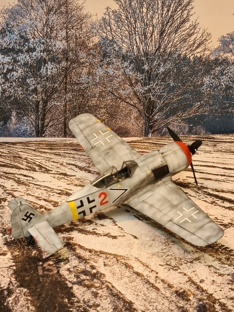 FOCKE WULF 190 F.8  Hongrie 1944 2201200556345625617757822