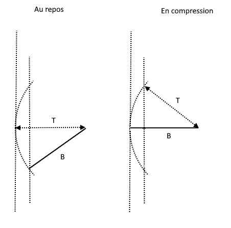 Angle diff&eacute;rentiel