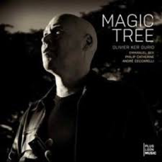 JaEmNb-Magic-Tree.png