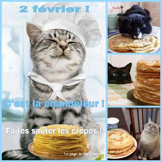 Chat chandeleur