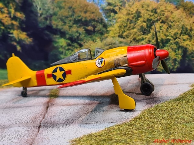 FOCKE WULF 190 F.8  capturé  . kit   Haségawa  .1/72 2202051233005625617782360