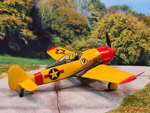 FOCKE WULF 190 F.8  capturé  . kit   Haségawa  .1/72 2202051233005625617782361