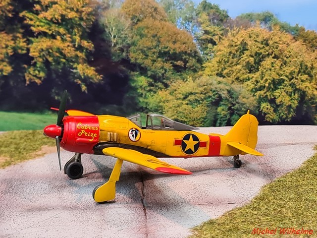 FOCKE WULF 190 F.8  capturé  . kit   Haségawa  .1/72 2202051233005625617782362