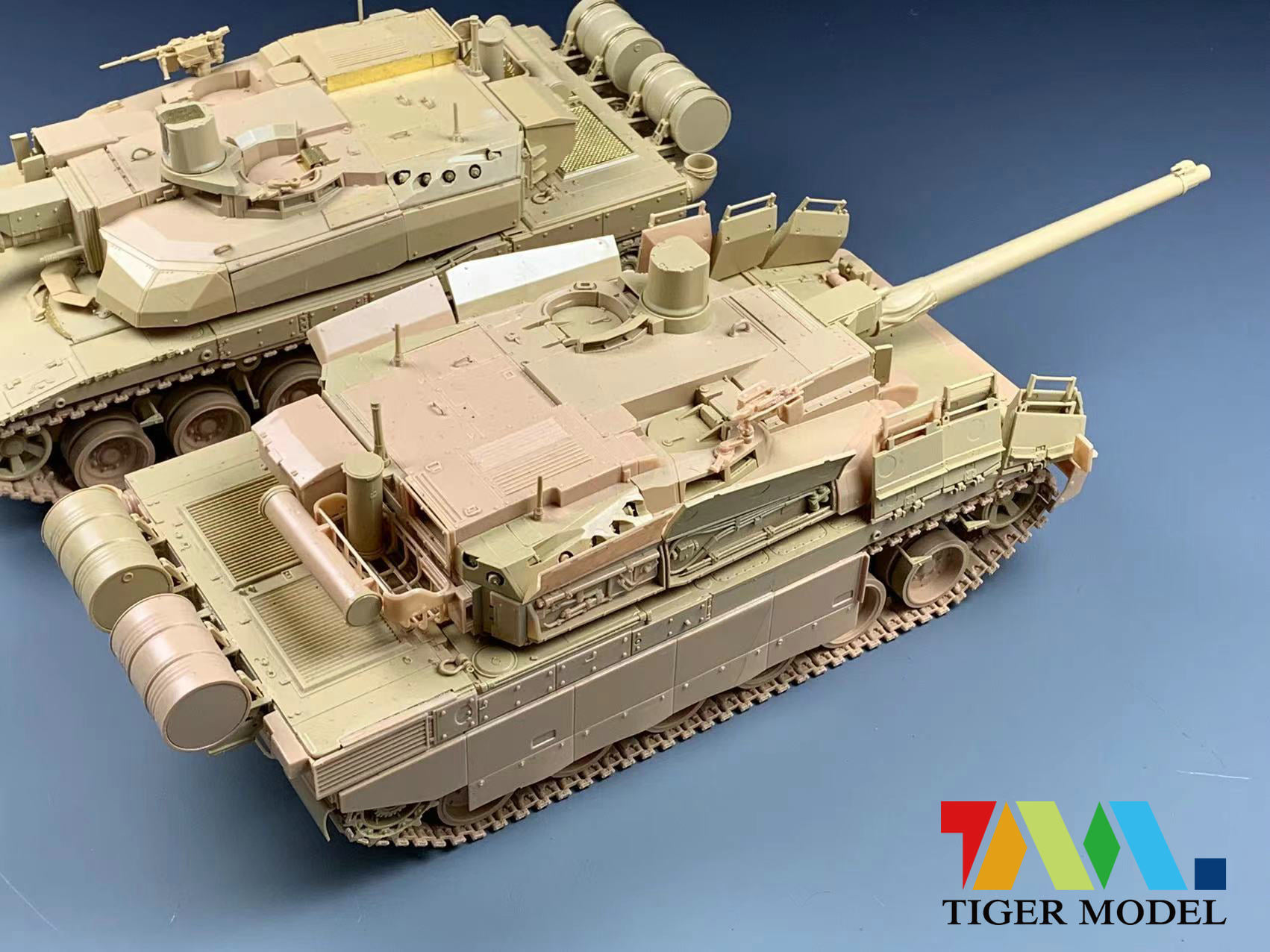 News Tiger Model. 22021405244526278717794951