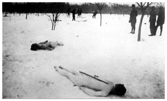 Pogrom de Bucarest (Roumanie) CV55Nb-cadavre-de-juis-denudes-jilava