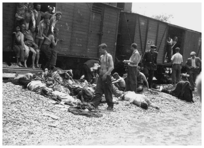 Pogrom de Iasi (Roumanie) UPB5Nb-cadavres-de-juifs-morts-de-faim