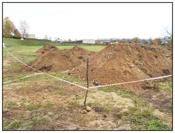 Einsatzgruppen : généralités Q5V8Nb-fouilles-sur-lun-des-sites-de-massacres