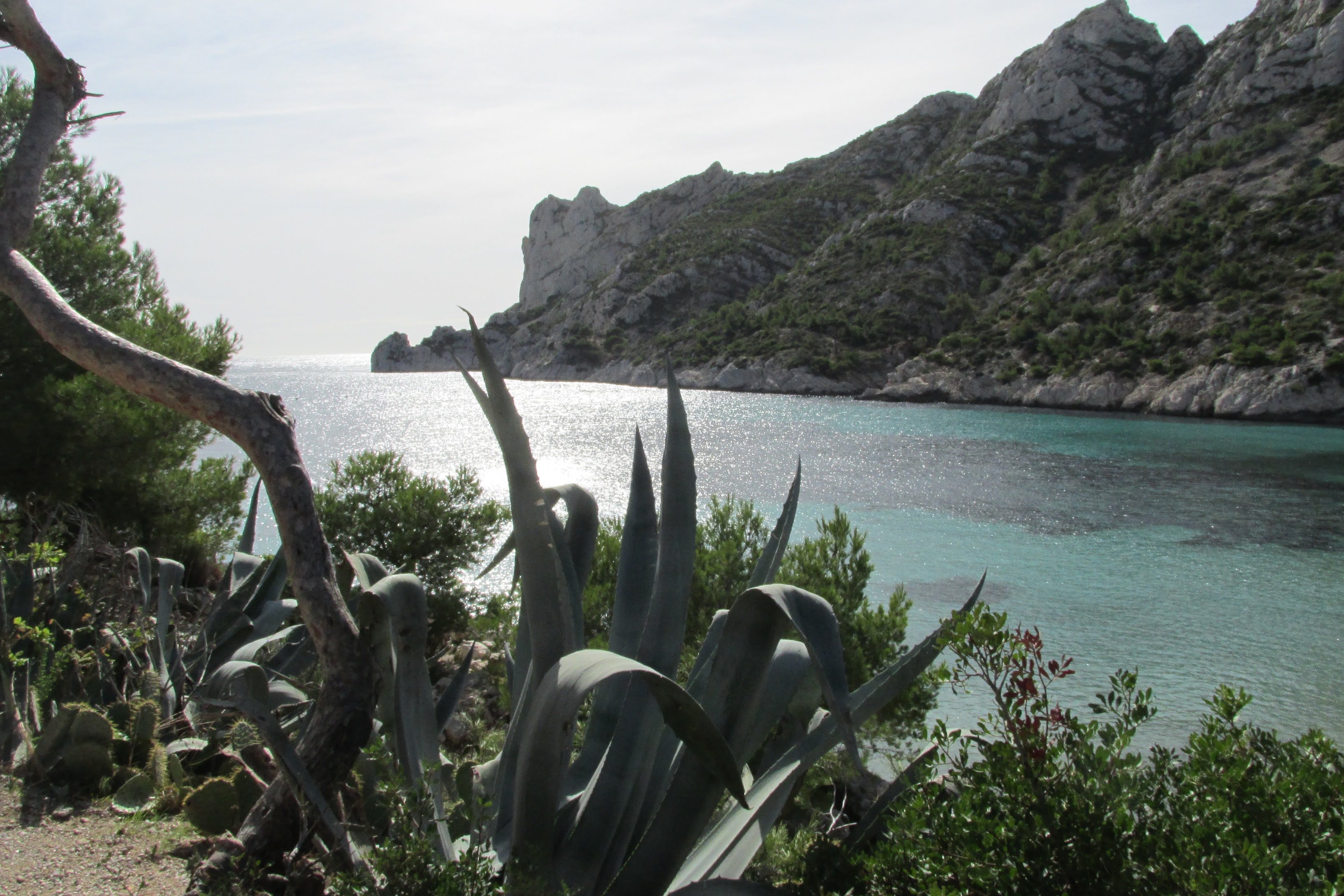 Calanque de Sormiou