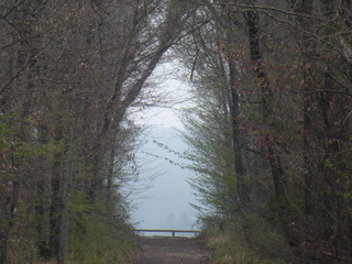 balade nature carrefour de Marlotte- For&ecirc;t de Fontainebleau