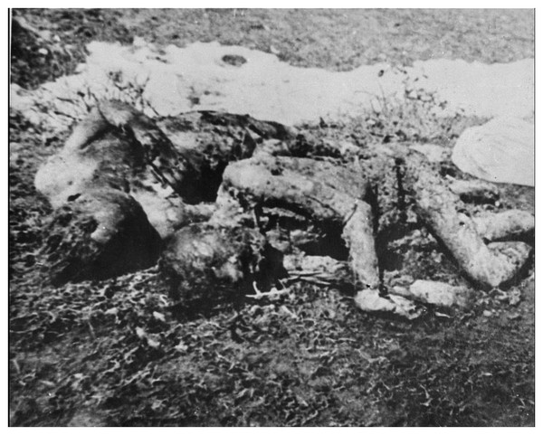 Camp de Jasenovac - Croatie IYfGNb-deux-victimes