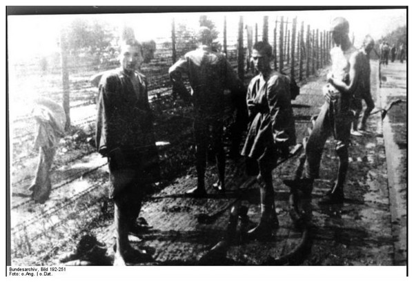 Camp de concentration de Mauthausen Es6GNb-jeunes-detenus
