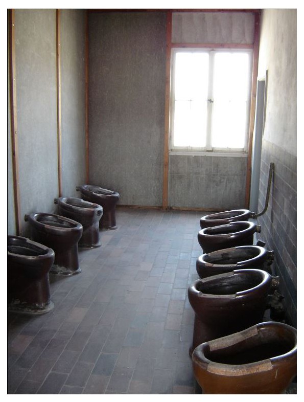 Camp de Dachau RtNGNb-toilettes