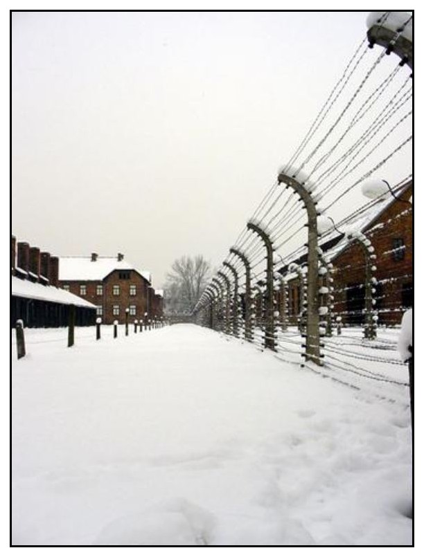 Camp d'Auschwitz - Birkenau 9zvJNb-auschwitz-I-en-hiver