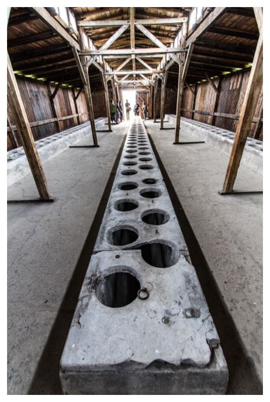 Camp d'Auschwitz - Birkenau 9zvJNb-latrines-Ausc-Birke