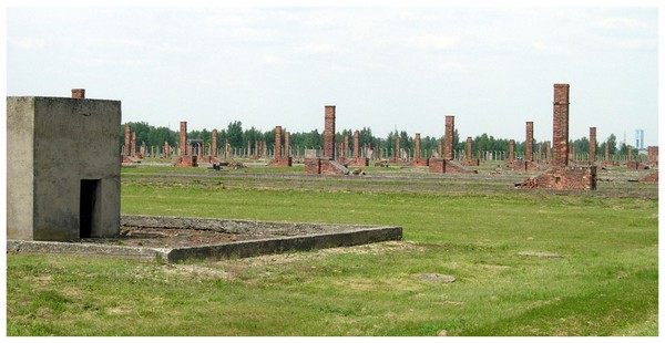 Camp d'Auschwitz - Birkenau BzvJNb-ruines-auschwitz-II