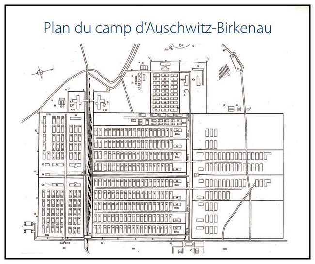 Camp d'Auschwitz - Birkenau QYuJNb-plan-auschwiz-birekenau