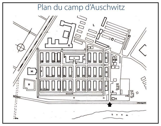 Camp d'Auschwitz - Birkenau QYuJNb-plan-dauschwitz