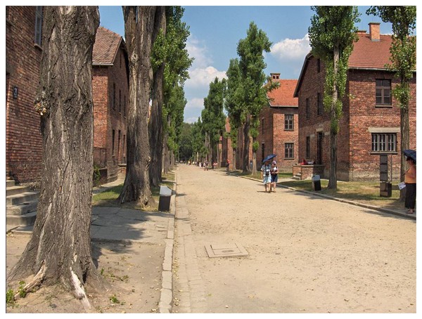 Camp d'Auschwitz - Birkenau ALvJNb-vue-actuelle