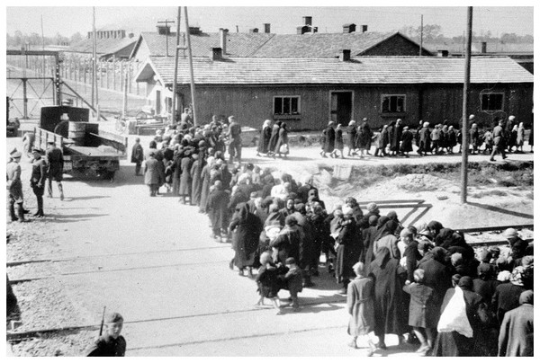 Camp d'Auschwitz - Birkenau Q4uJNb-la-selektion